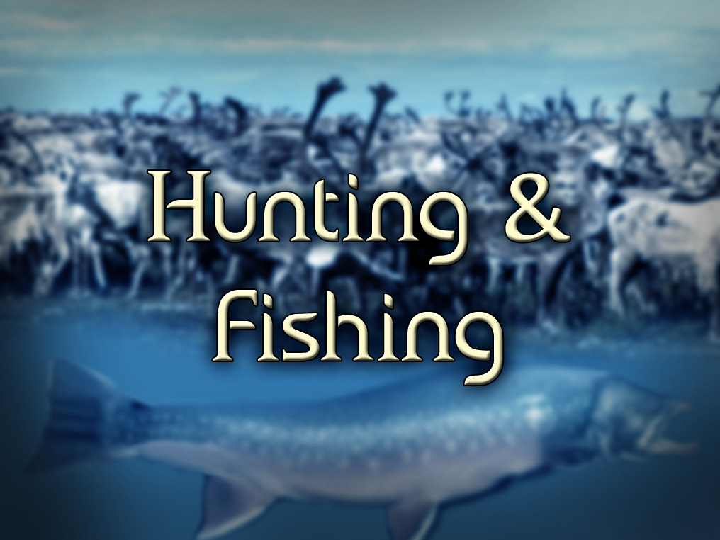 Hunting & fishing: Aircraft Charters